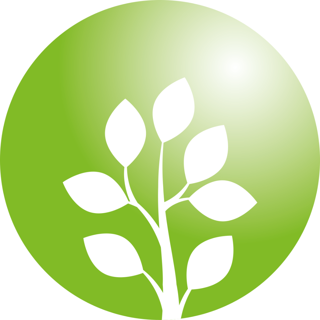 Chọn quà theo 5 Mệnh trong Phong Thủy