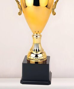 Cúp vàng thể thao WG-040