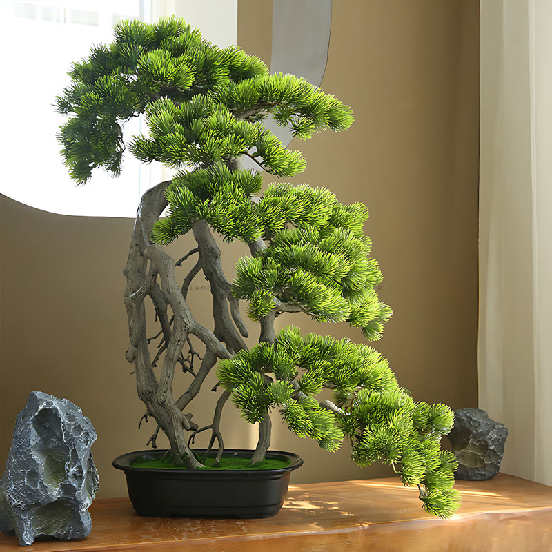 Cây bonsai mini để bàn hợp phong thuỷ