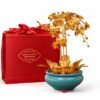 Chậu Hoa Lan Bằng Đồng Mạ Vàng 24K – Tôn Vẻ Thanh Lịch, Gửi Gắm Lời Chúc May Mắn Và Thành Công