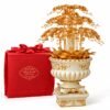 Chậu Hoa Lan Siêu VIP Dát Vàng 24K – Tạo Dấu Ấn Không Gian Doanh Nhân, Ghi Dấu Những Chặng Đường Thành Đạt